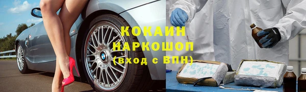 крисы Аркадак