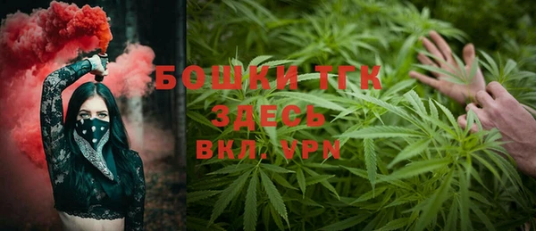 крисы Аркадак